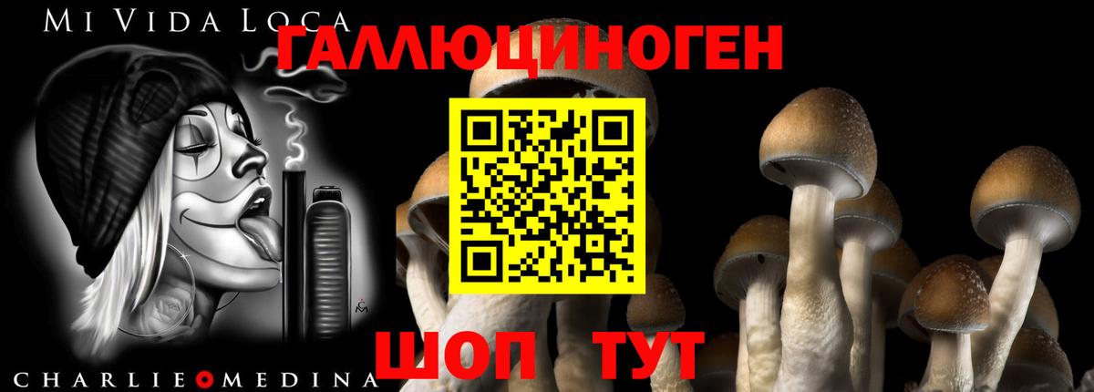 Галлюциногенные грибы Magic Shrooms  Вход с VPN  Ангарск  Галлюциногенные грибы GOLDEN TEACHER 